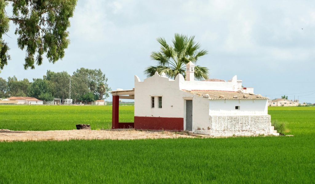 arrossas-riumar-delta-ebre