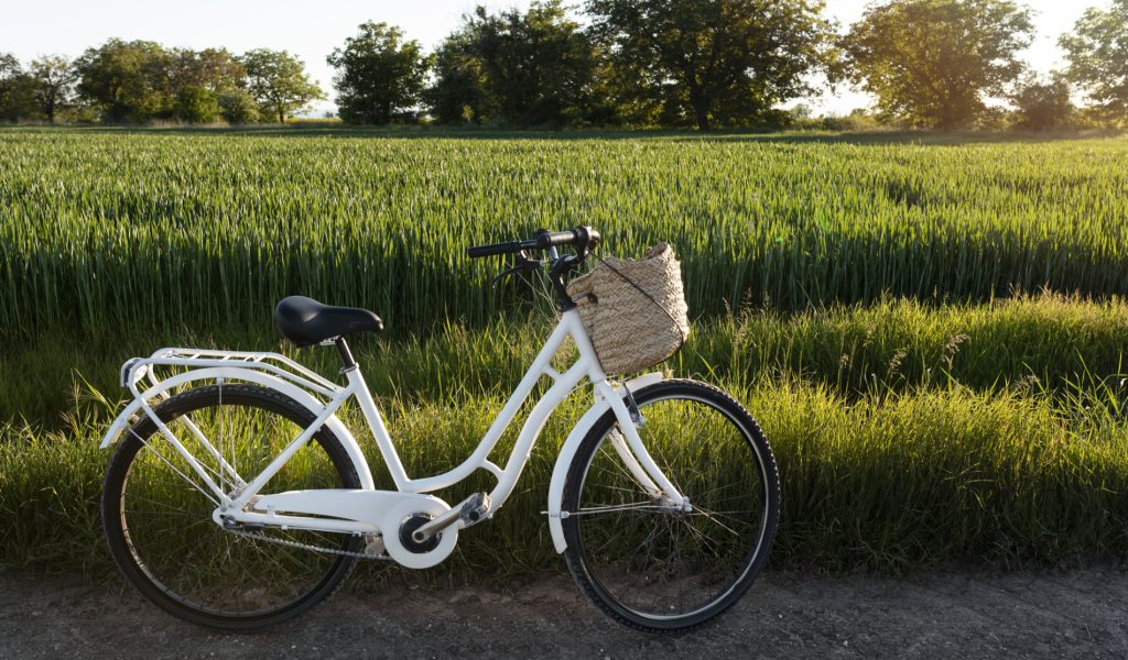 bicicleta-delta-ebro